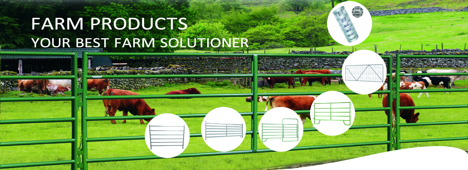 微信图片_20191120152620