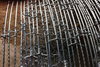Concertina Barbed Wire